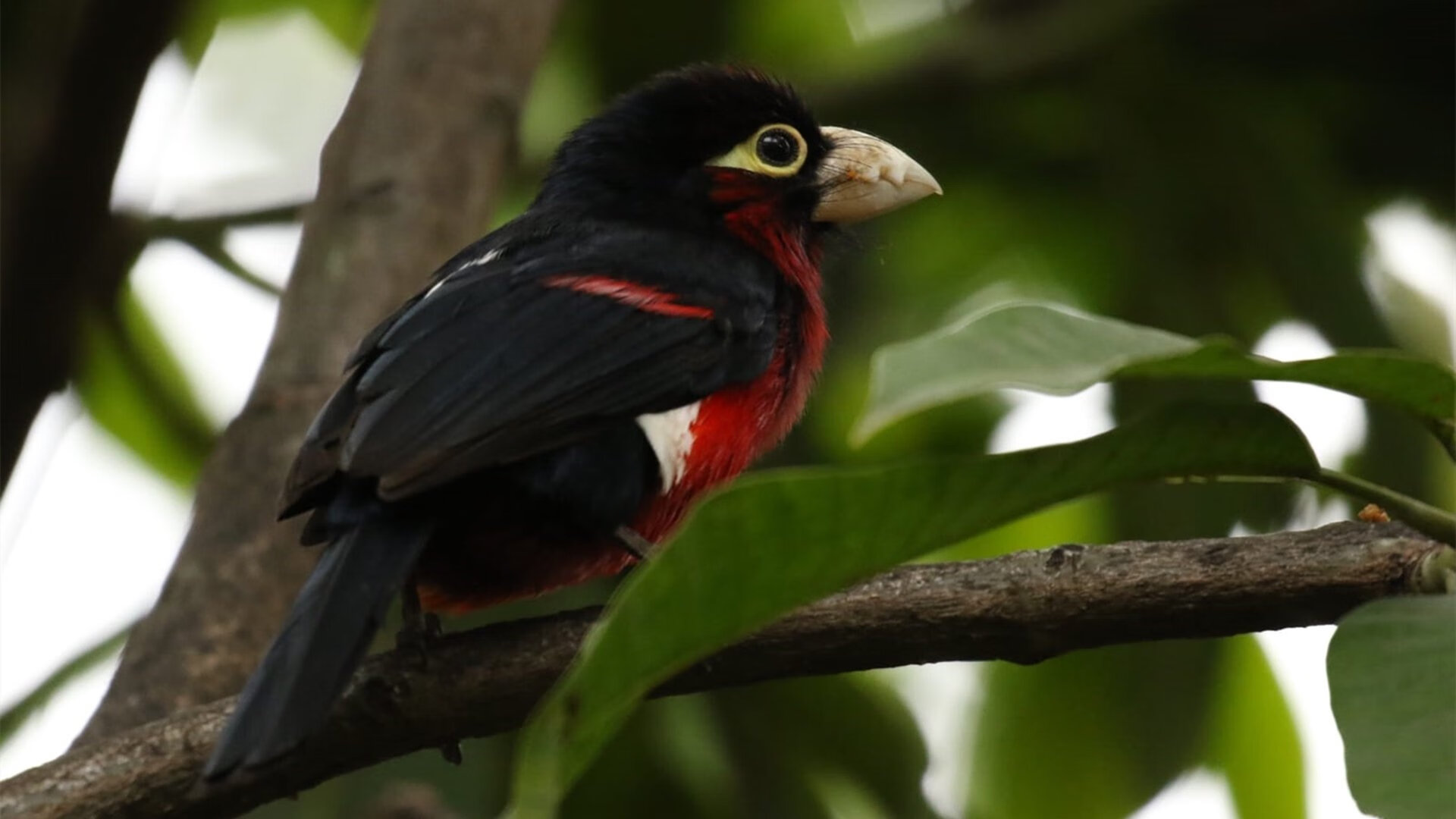 爱游戏登录入口-_最后的狂欢：体育节日全城狂欢盛典_，最后的狂欢歌曲