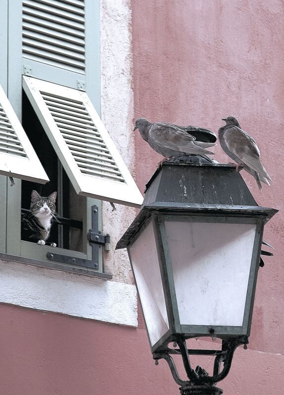 _高空深潜体验:探索海底未知领域_,海底未探索区域