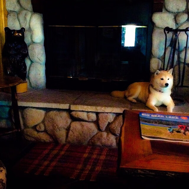 AYX体育官网-守望先锋 电竞市场持续扩张，守望先锋年度电竞游戏