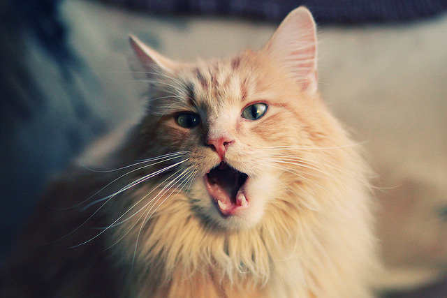 爱游戏电竞官网-全场篮球赛季关键胜负，篮球全场赛制