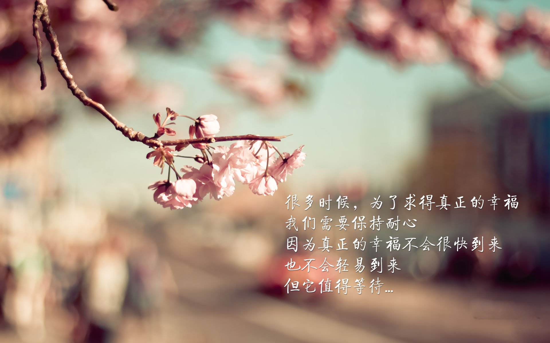 AIYOUXI.COM-意外高尔夫球童受伤引发关注，高尔夫球童知乎