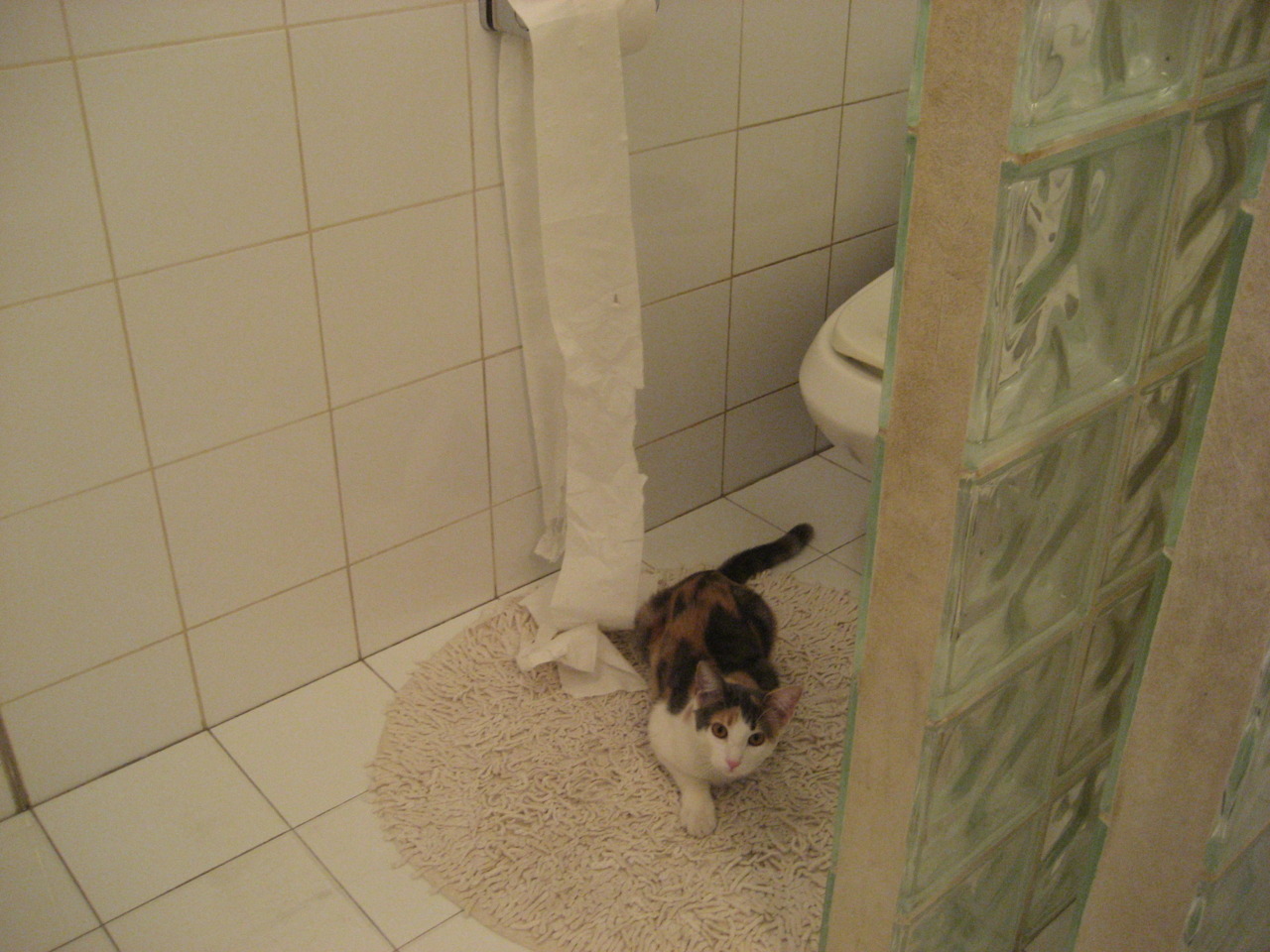 斯洛伐克国家队实力强劲,欧国联对手不堪一击,斯洛伐克国家队实力强劲,欧国联对手不堪一击