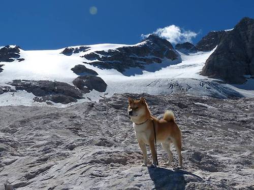 AYX SPORTS-瓦拉多利德客场失利，遗憾错失胜机，瓦拉多利德队