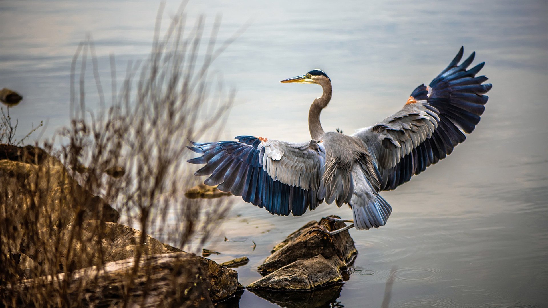精彩足球比赛:全球体坛瞩目一幕,十大精彩足球比赛