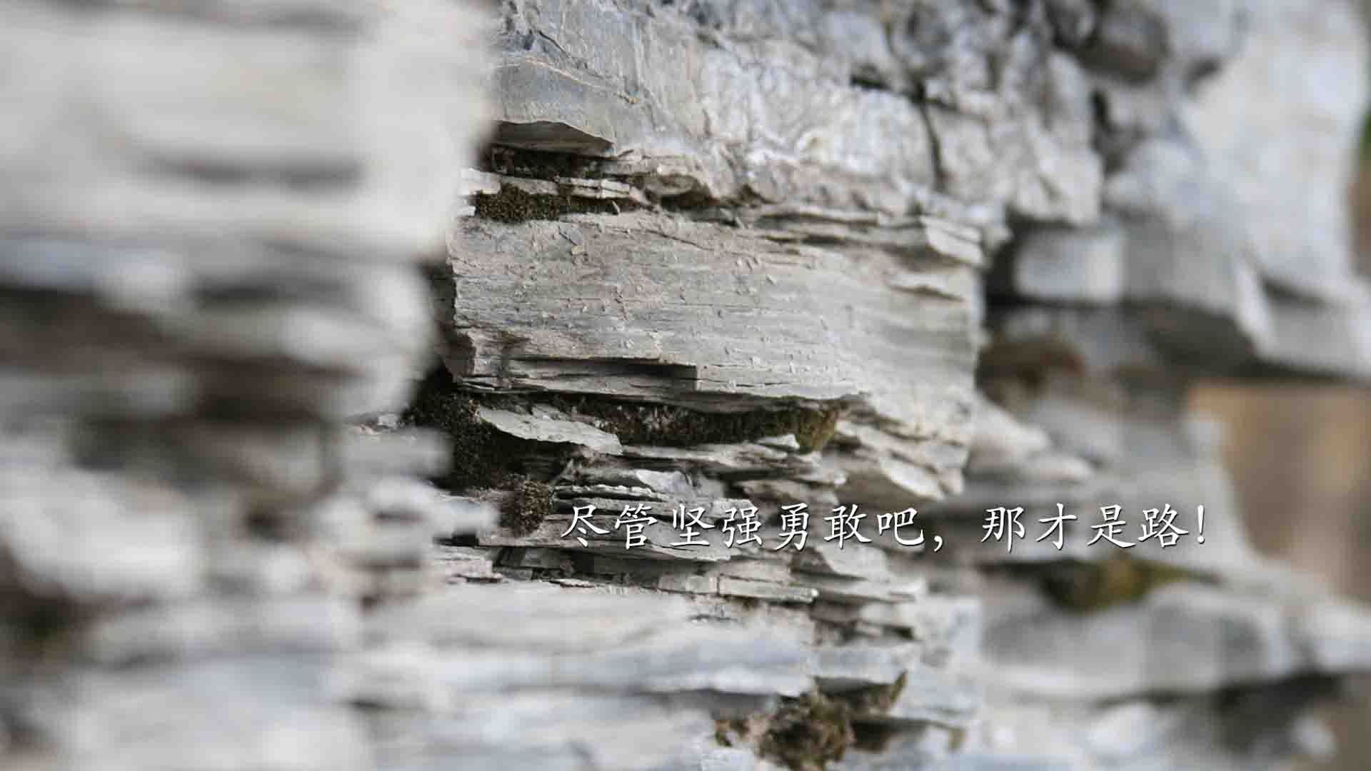 爱游戏app下载-米尔沃尔反击精准，狮子军团全力抢分，米尔沃尔球迷