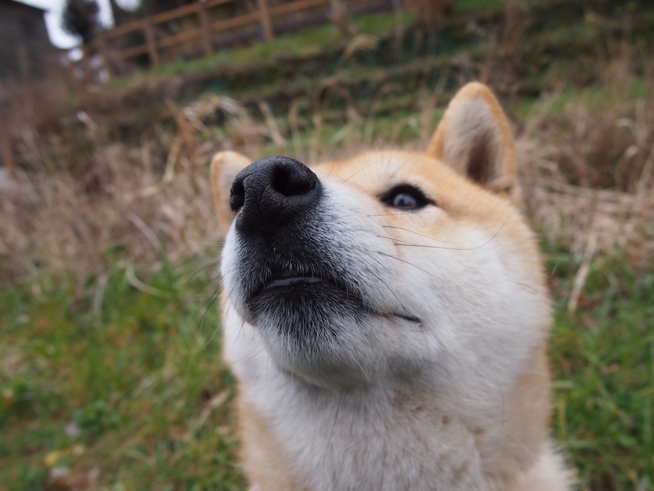 葡萄牙体育门将多次扑救力保球队胜利，葡萄牙队员2021