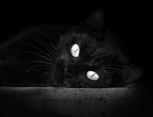 葡萄牙体育战术调整见成效,葡萄牙体育强项