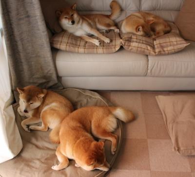 萨拉戈萨遭遇逆转,生疏心态招致失败,萨拉戈萨市