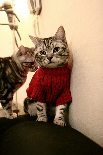 篮球运动员比赛数据采集技术创新及战术分析应用,篮球比赛数据录入