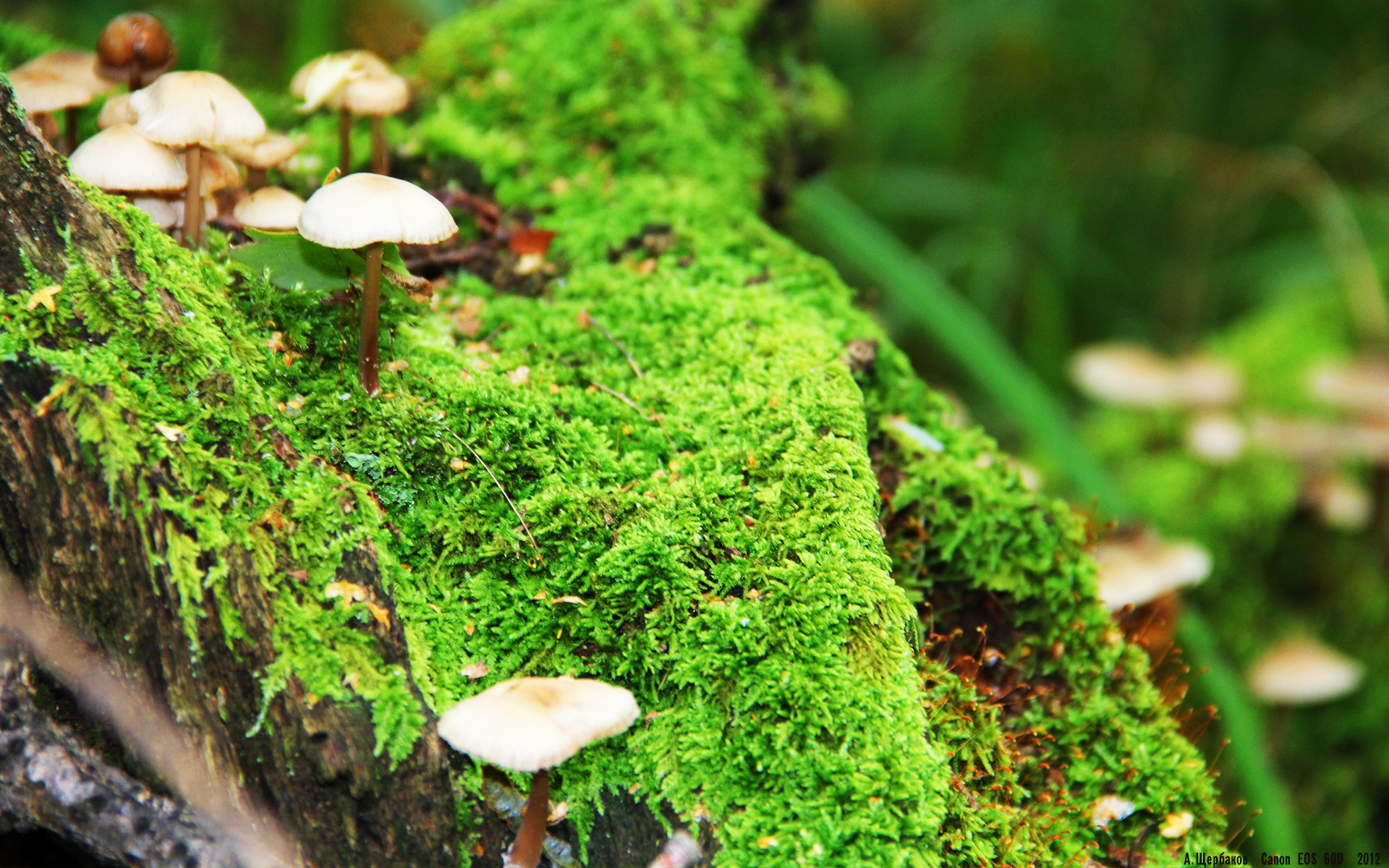 青少年运动行为及其社会环境影响因素研究,影响青少年参与运动的因素有哪些