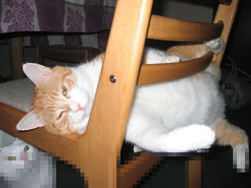 中国三人女篮多点开花 战术执行力出众,中国3人女篮