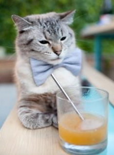 二阵球员替补出场反超比分的经典战役，第二阵容是替补吗