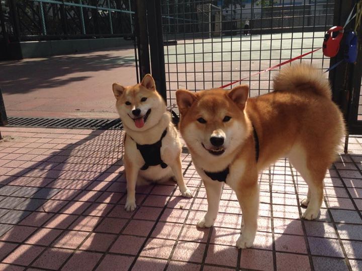 AIYOUXI.COM-奥运村生活服务设施提升，奥运村生活服务设施提升工程