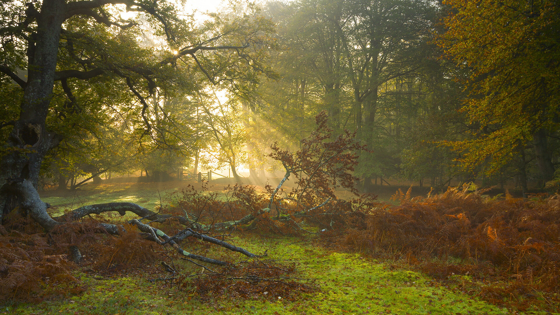 节奏控制是否是决定比赛最后一分钟走向的核心,节奏分配