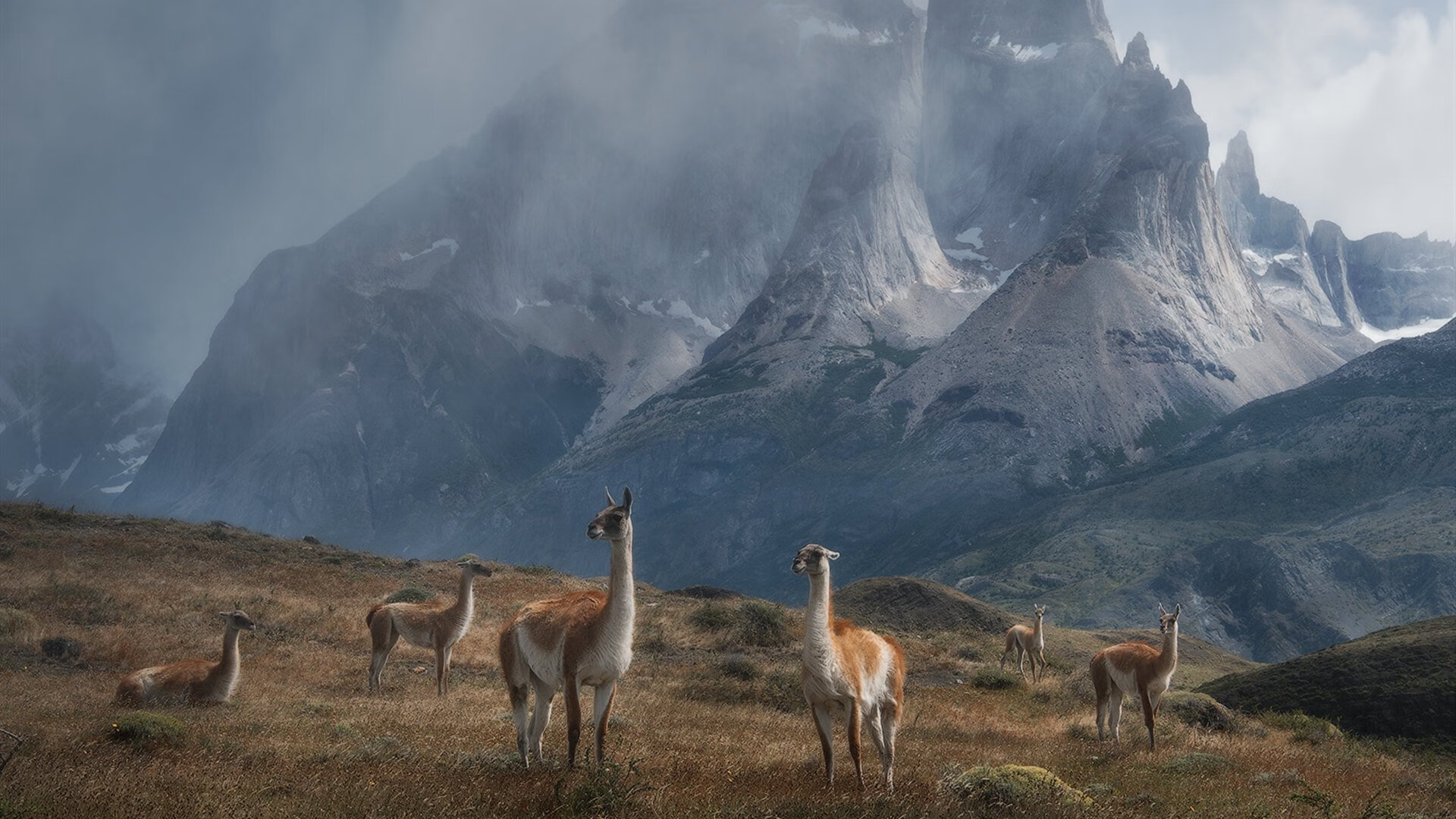 克洛普不断创新战术,带队冲击历史佳绩