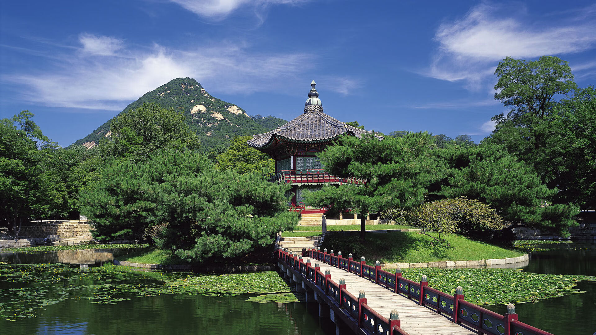 塞尔维亚女篮在欧洲锦标赛中表现出色,争夺金牌高度目标,塞尔维亚女篮球