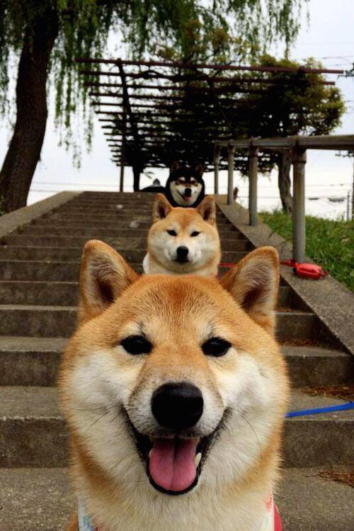 爱游戏电竞官网-意甲精彩片段：拼搏、突破、精彩不断！，意甲经典比赛如c77 tv