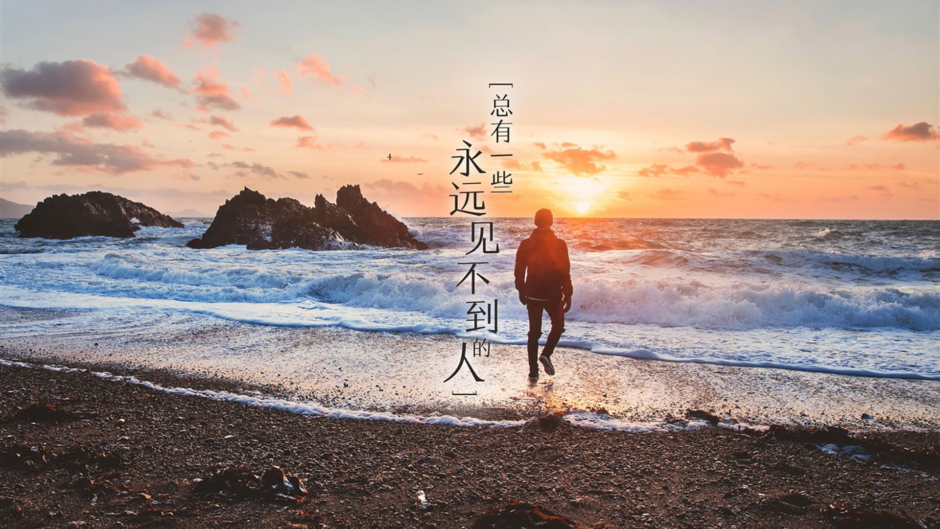 爱游戏官网-杰克·阿莱克西100米自由泳技术动作解析，埃里克自由泳100米