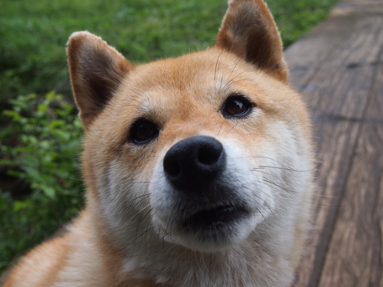 爱游戏体育-独行侠控卫重点练习应对高压防守策略，独行侠进攻