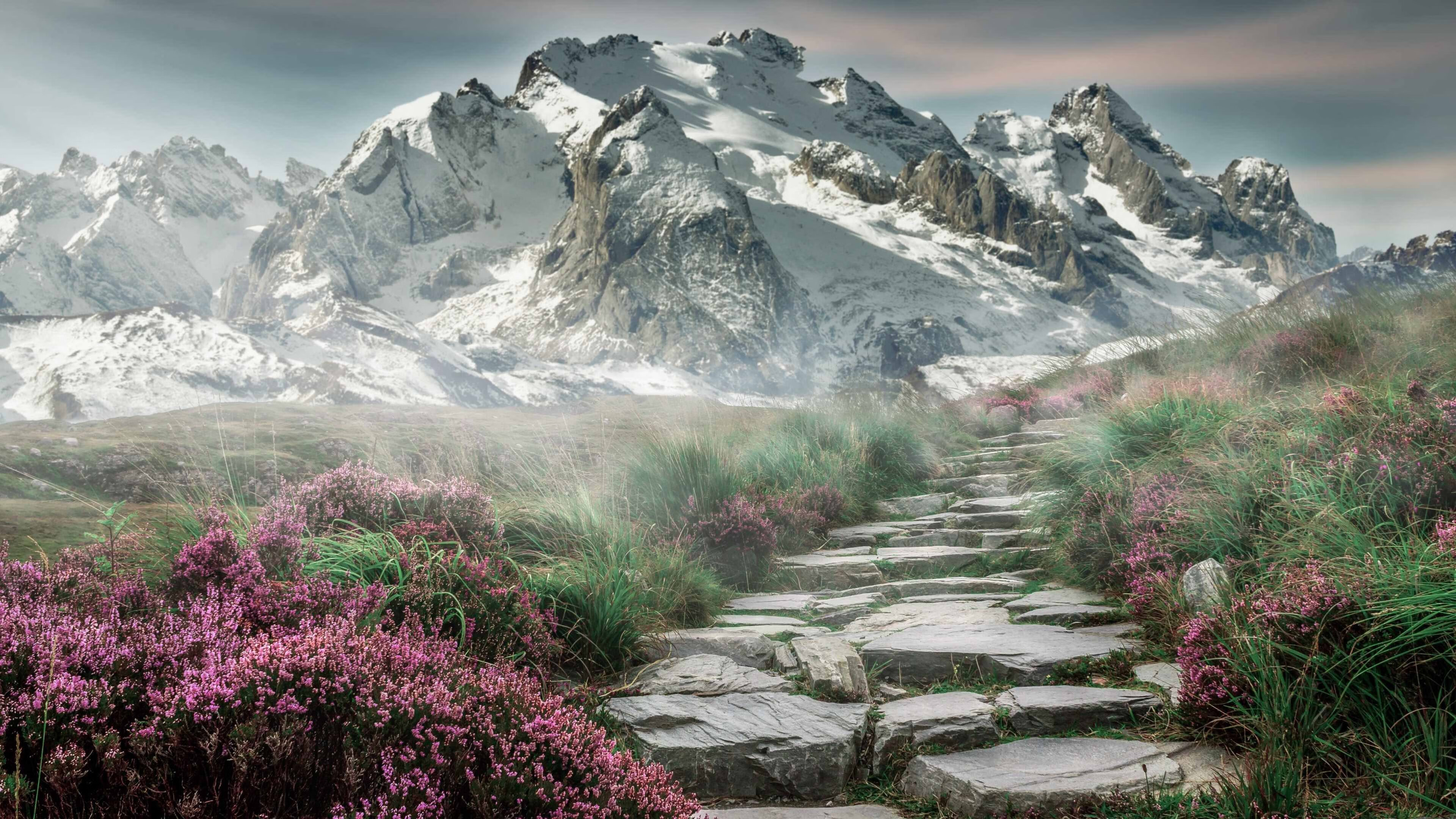 绿色材料广泛应用，未来体育设施环保可持续发展，绿色体育场馆