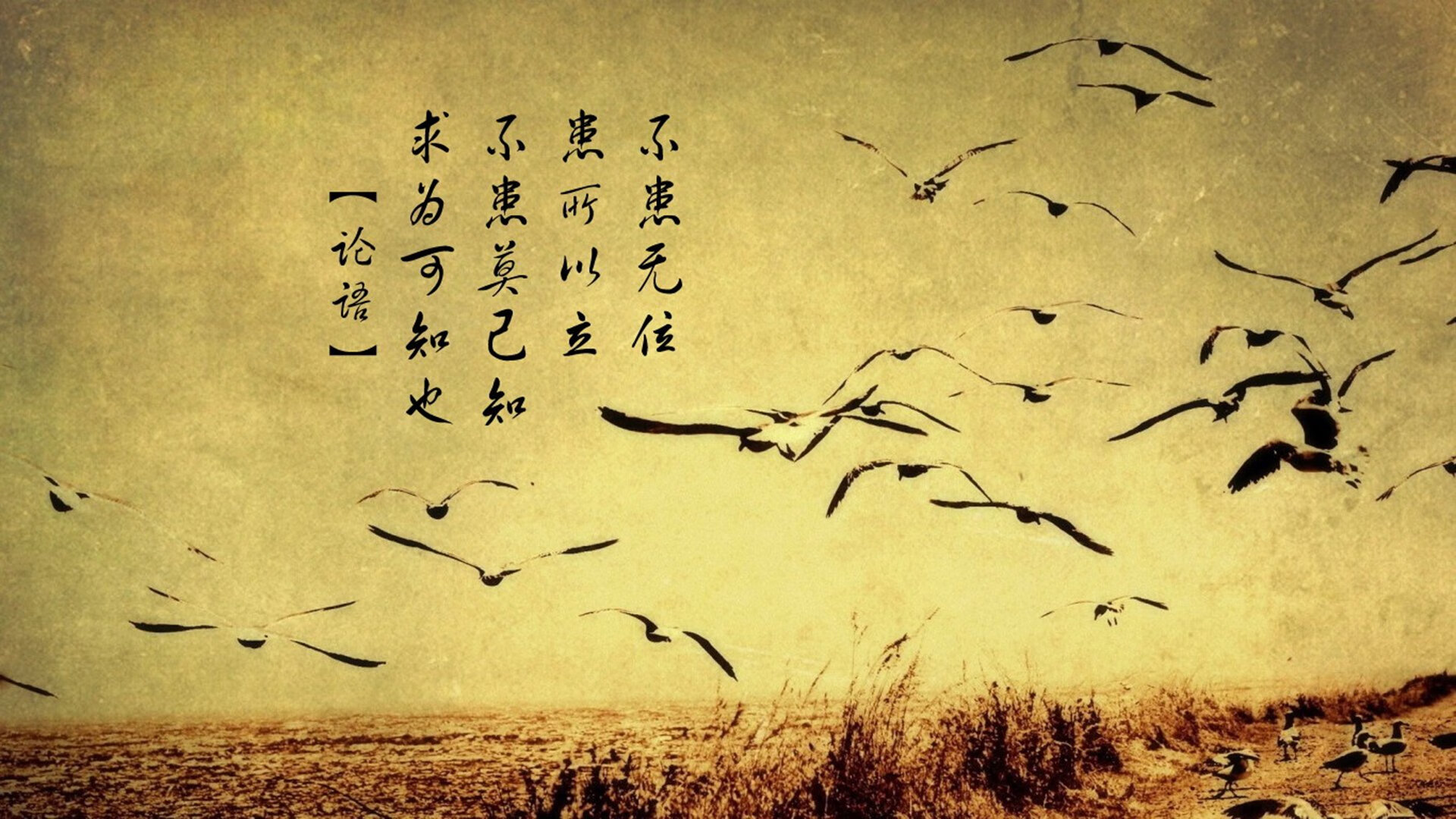 爱游戏平台-老鹰重点培养新秀后场轮换焕发活力，老鹰的新秀